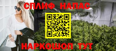 прущие грибы Первоуральск