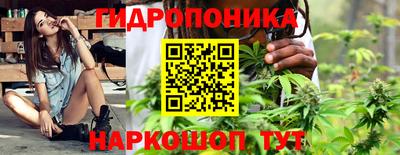 стафф Обнинск