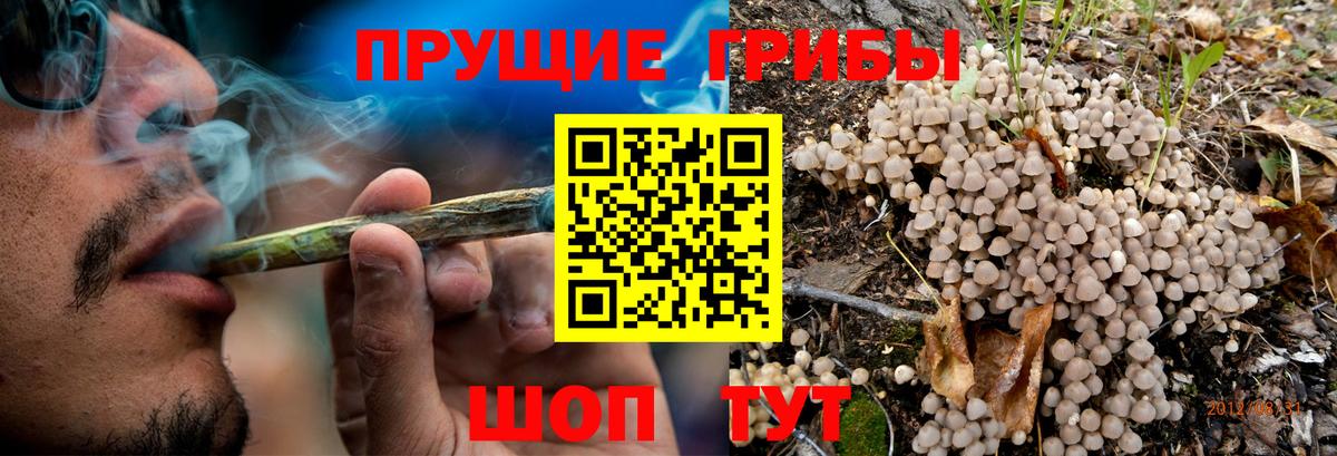 Галлюциногенные грибы GOLDEN TEACHER  Галлюциногенные грибы Magic Shrooms  Тобольск  закладка  Вход с VPN 